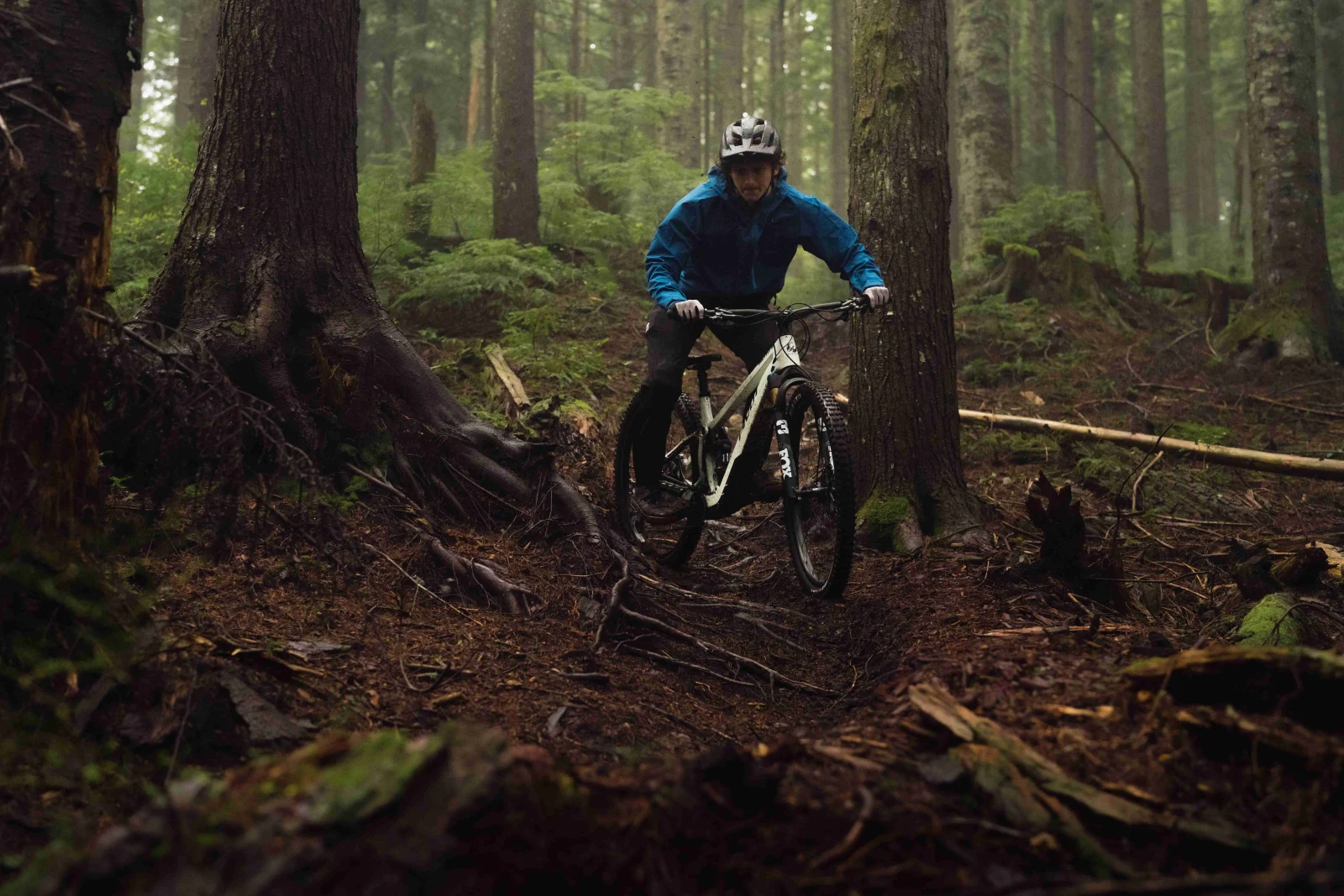 shuttle sl highlight 2