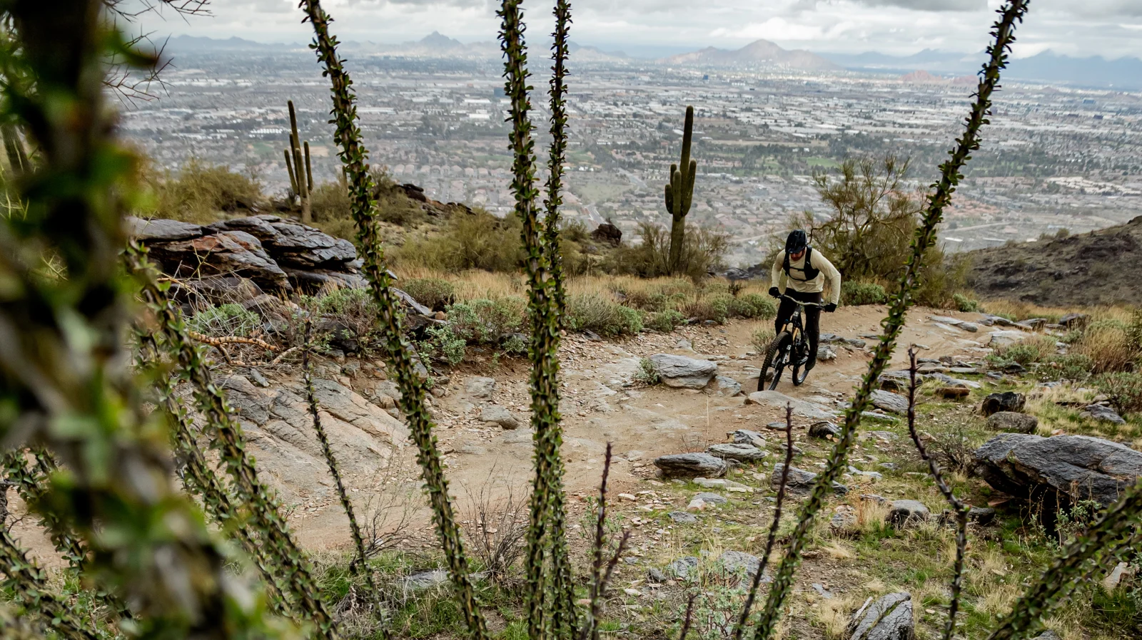 South Mountain Rider