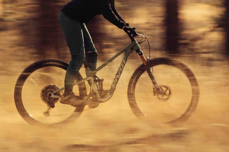 trailcat highlight 2