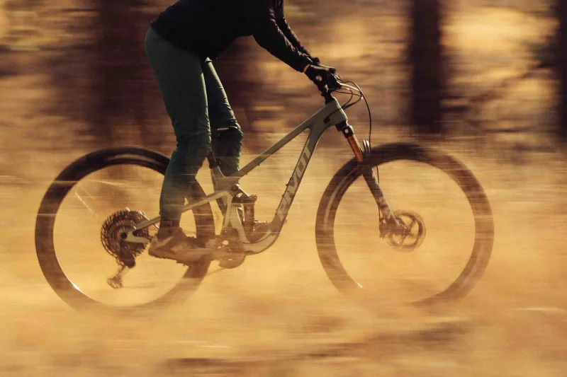 trailcat highlight 2