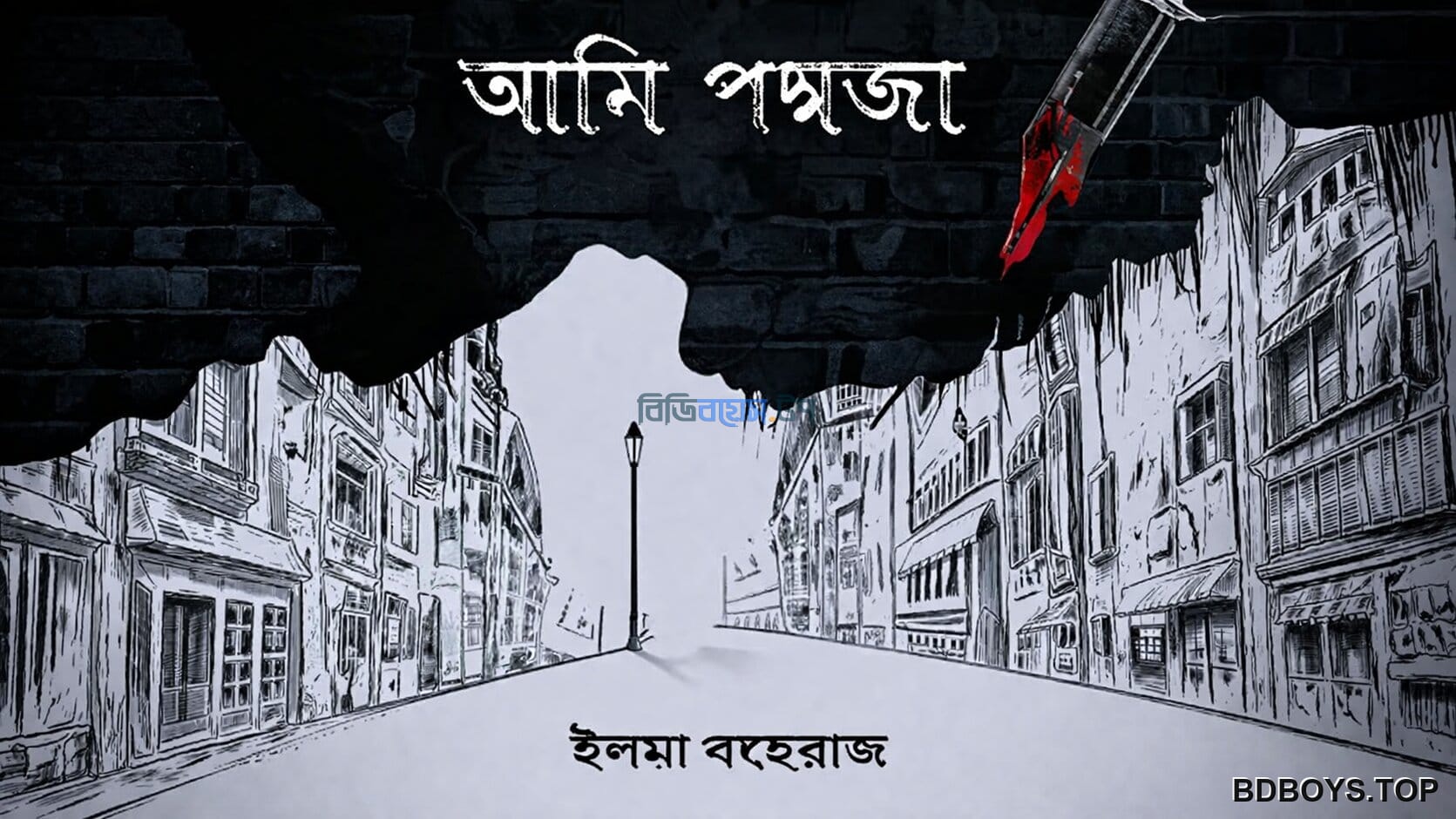 আমি পদ্মজা-পর্ব ৬৬