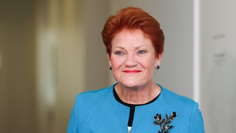 Hanson defends leadership prospects as polling shows surge for One Nation
