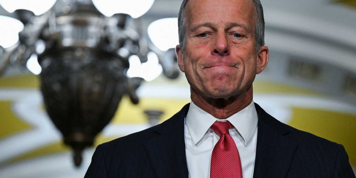 Political Analyst Describes How Senate Republicans Block Some Trump Priorities by Avoiding Votes