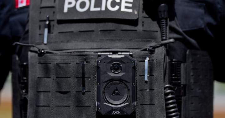 Man charged in Kitsilano Beach assault released with conditions after brief detention
