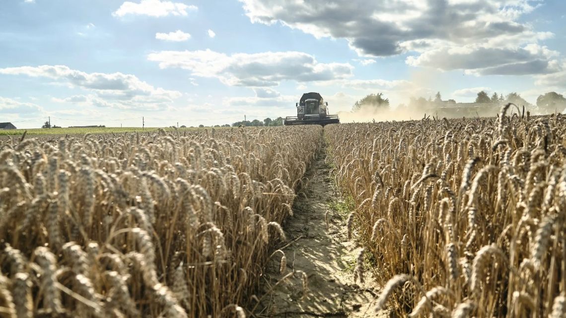 La fundación de Esperanza y el origen del Día de la Agricultura Nacional en Argentina
