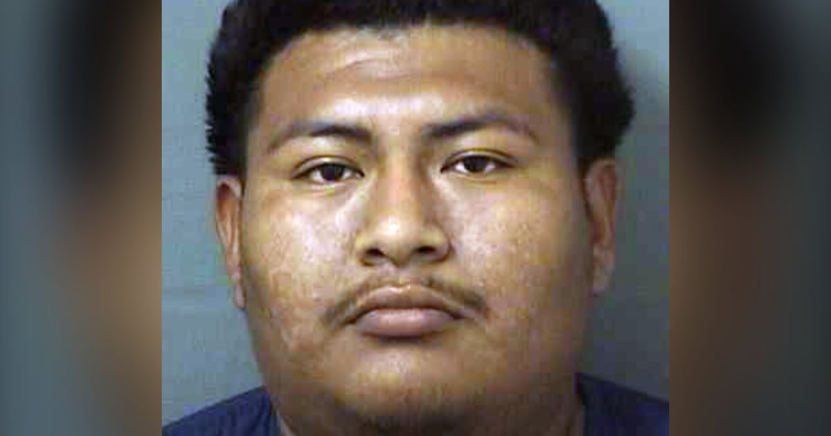 Florida man faces charges for neglecting a pig found in poor condition