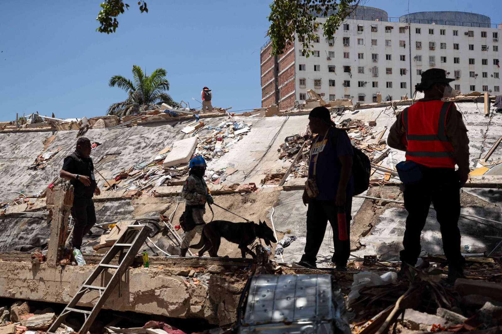 Venezolana en EE.UU. denuncia presunto saqueo de cajas fuertes tras terremotos en La Guaira
