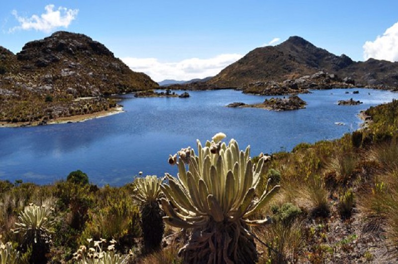 Suspension of Santurbán Delimitation Negotiation Due to Community Conflicts