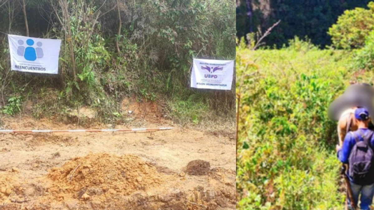 Descubren restos de cinco personas desaparecidas en conflicto armado en parque nacional de Tolima