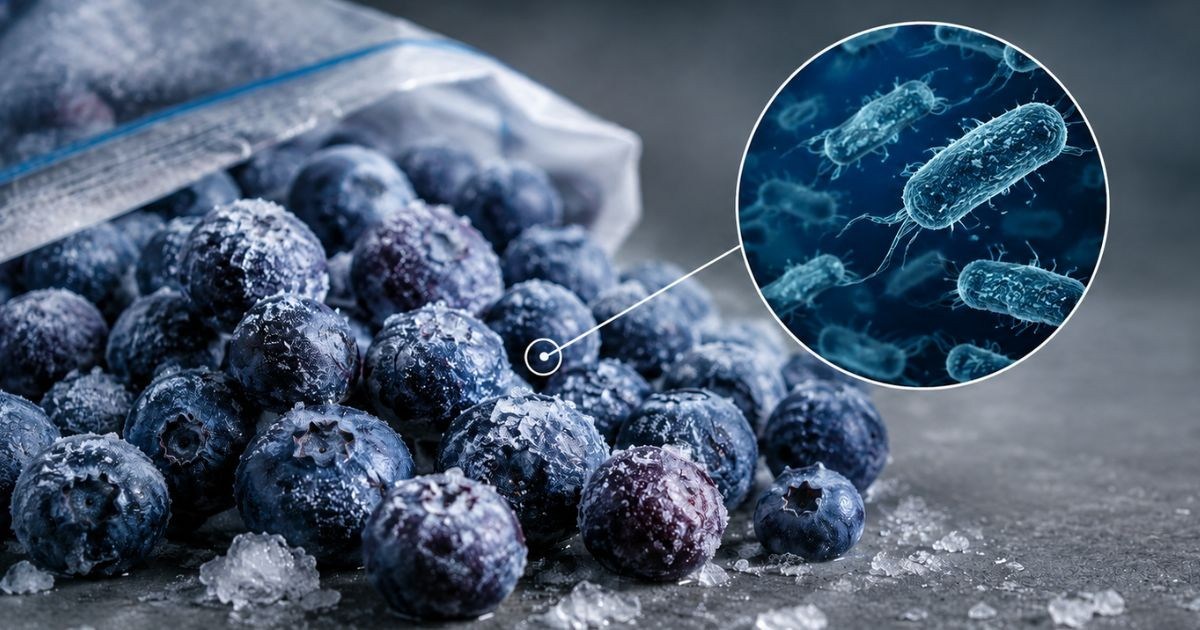 Retiro de arándanos congelados contaminados con E. coli en Estados Unidos