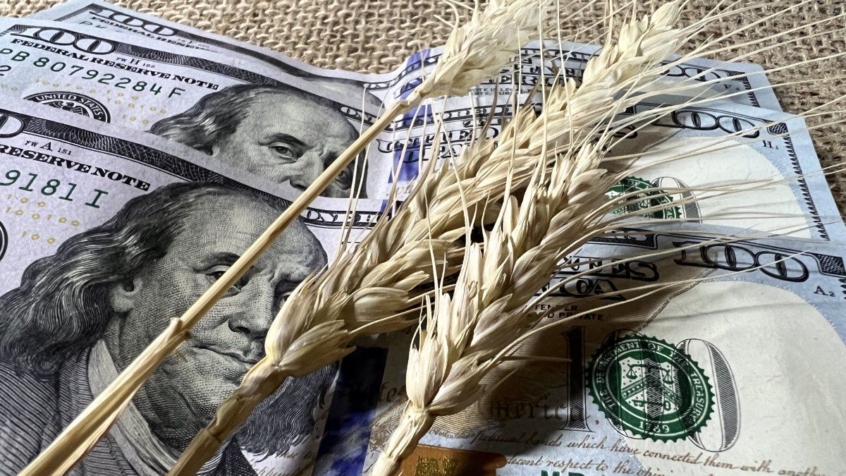 Análisis del impacto de las exportaciones agrícolas en la balanza cambiaria
