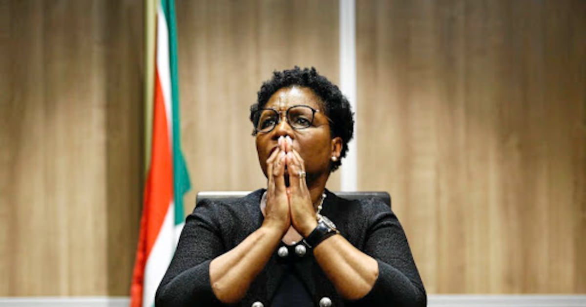 South Africa Appoints Ayanda Dlodlo as Ambassador to France Ahead of Presidential Visit