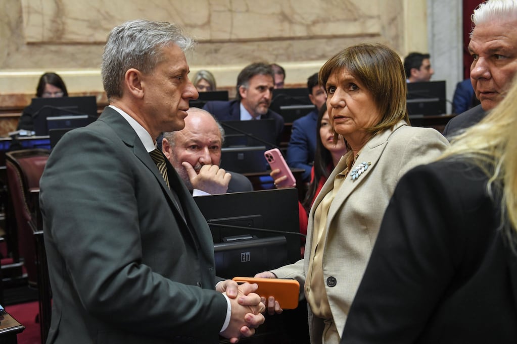 El Senado avanza en reforma electoral y proyecto Hojarasca
