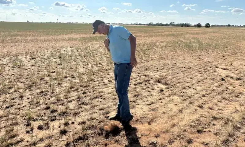 Record-breaking El Nino expected to cause global weather extremes: expert