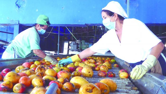 Resiliencia de La Conchita ante crisis energética y logística