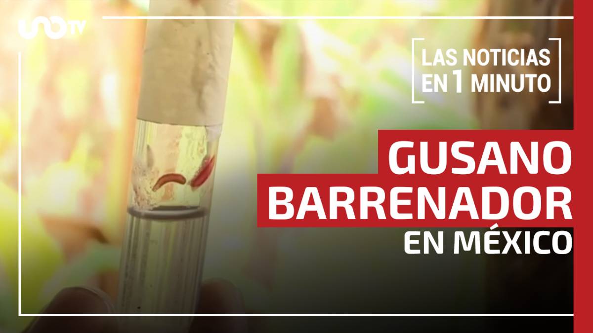 Resumen de las principales noticias del 7 de julio de 2026