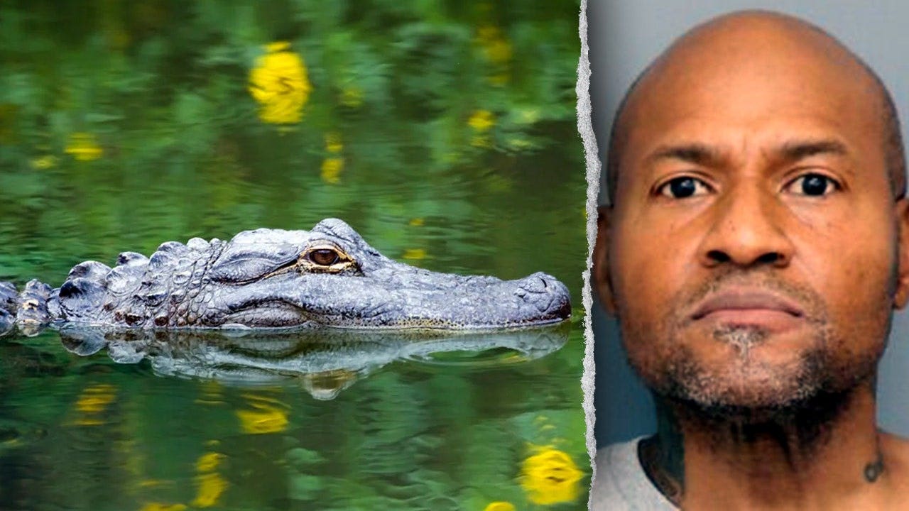 Landlord Arrested After Alleged Assault and Discovery of Animals & Firearms in Maryland