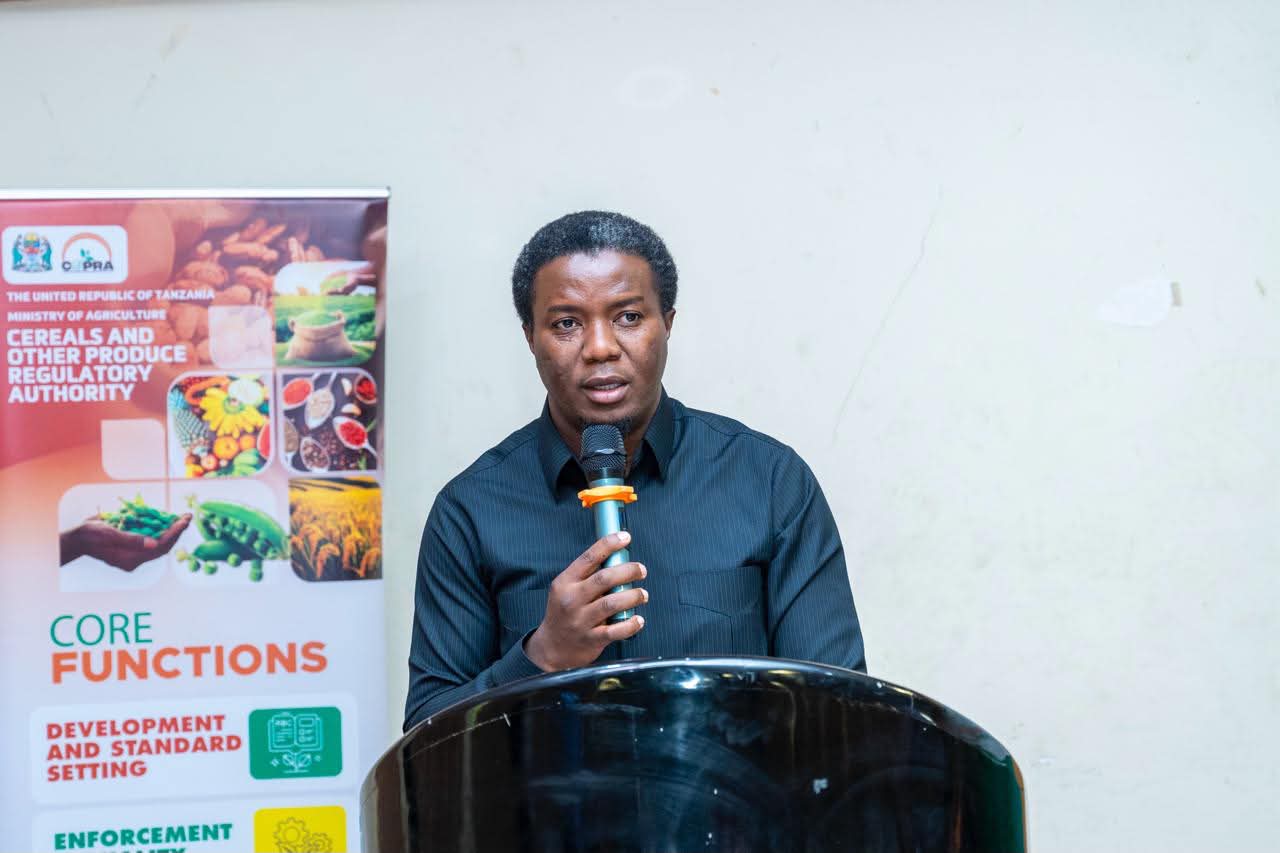 Tanzania's Pyrethrum Production Targeted for 9,000 Tonnes by 2031