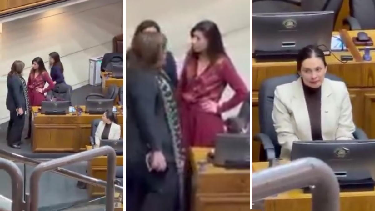 Confrontación en el Senado entre líderes del PS por la megarreforma