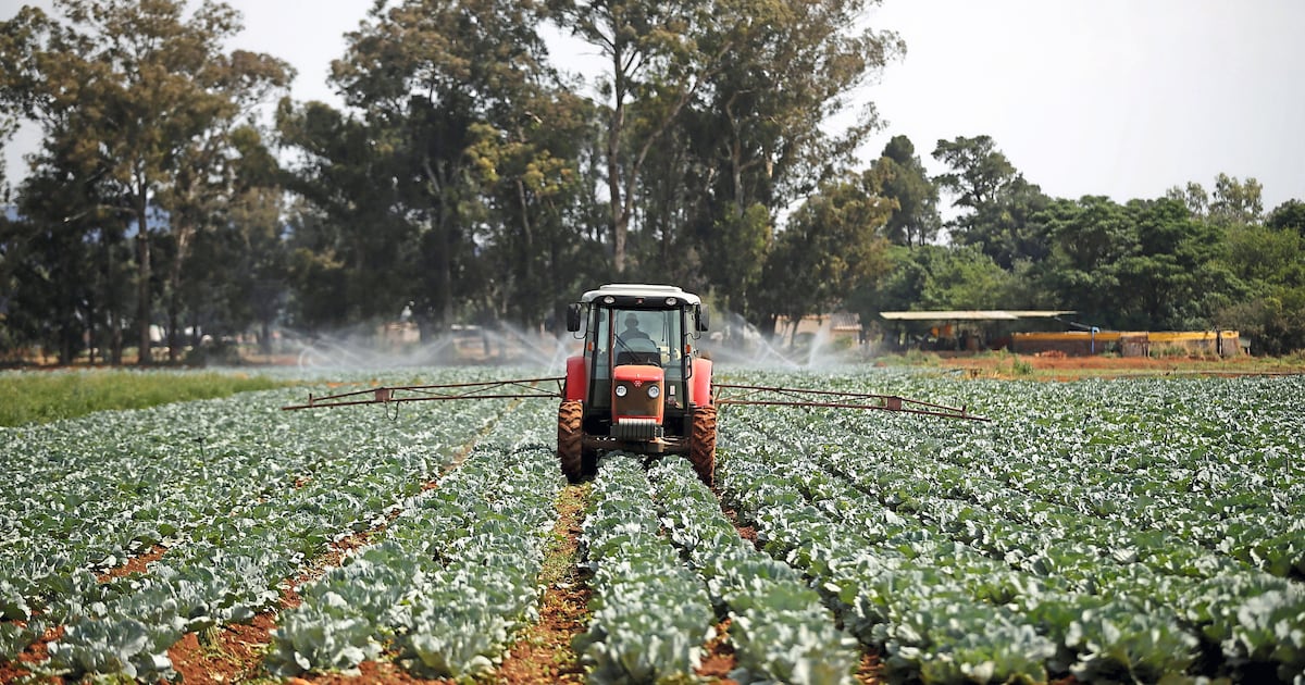 AgriSA's stance on exports and food security amid SAHRC inquiry