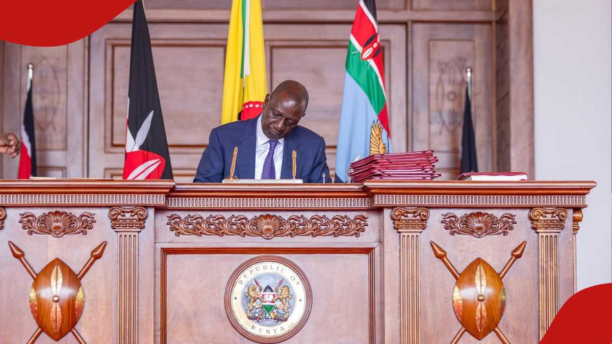 Kenya establishes sovereign wealth fund to manage resource revenues