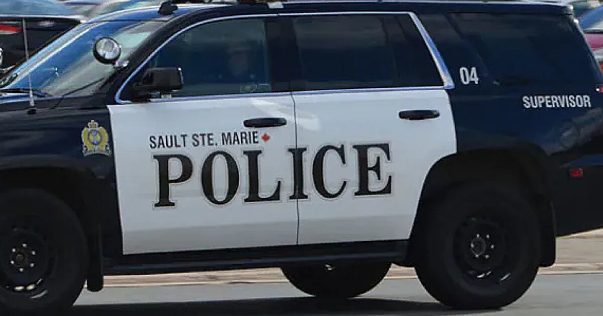 Another Teen Charged in Sault Boardwalk Assault Case