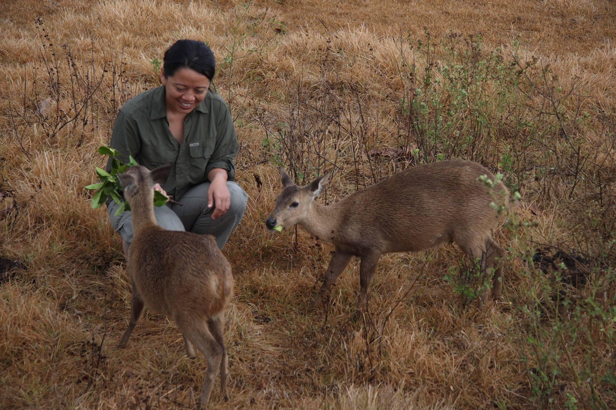 Filipina biologist honored for biodiversity conservation achievements