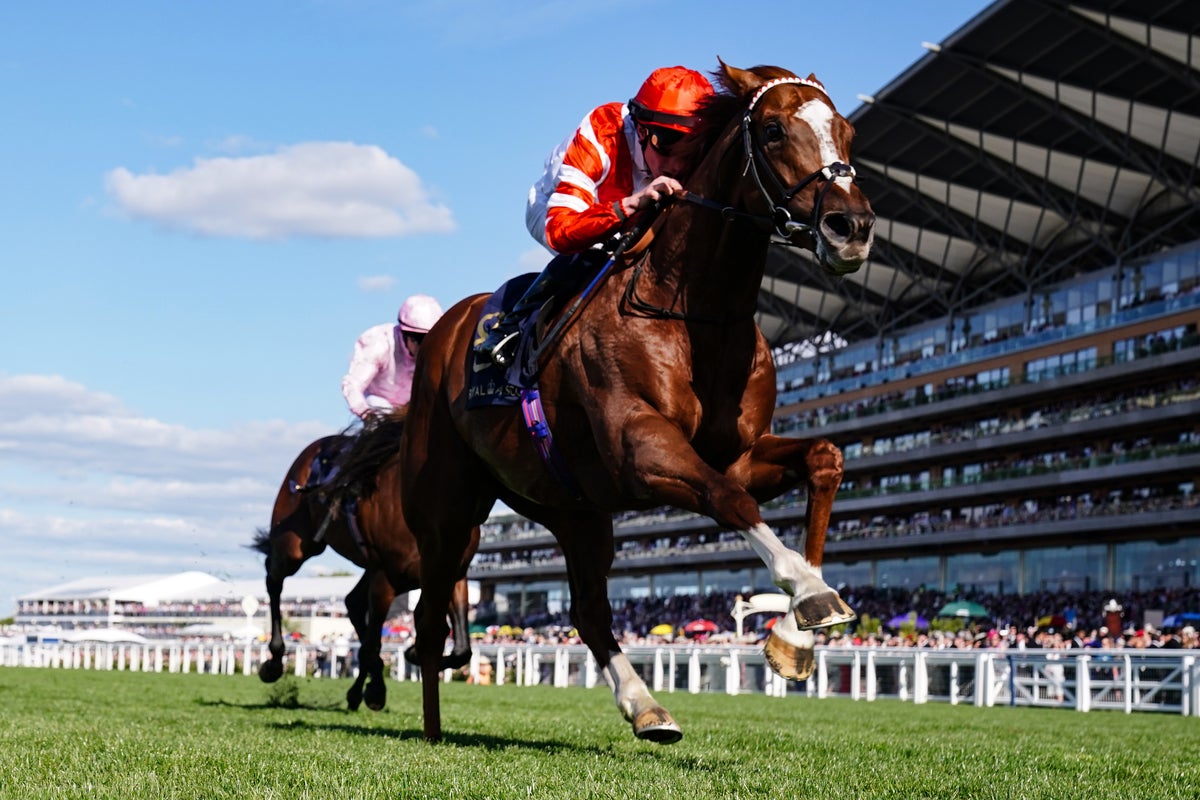 Saturday Racing Tips: Best Bets and Odds from Newmarket and York