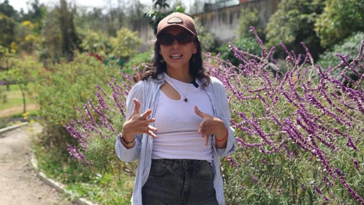 Ecuador's Quito Launches Bee Conservation Campaign with Bioblitz Events