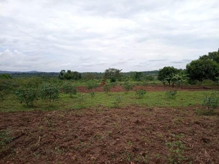Government expands land formalisation drive in Misungwi to reduce disputes and strengthen land ownership