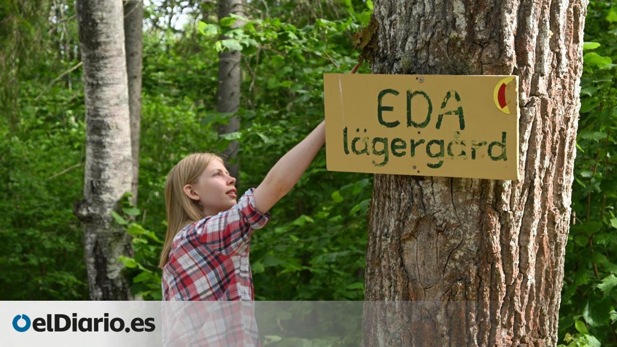 Suecia crea empleos veraniegos para jóvenes en proyectos ambientales