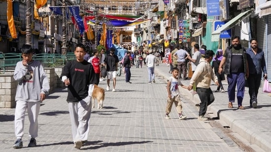 Ladakh to get UT-level body and hill councils for all seven districts under customised Article 371 framework