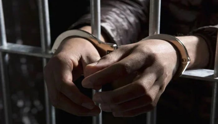 Lahore court grants four-day remand extension for foreign women's assault suspects