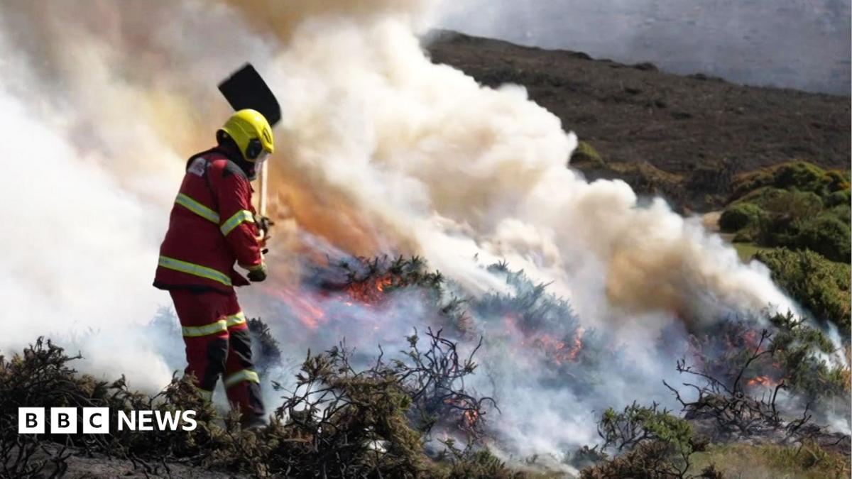 Wildfires Continue Across UK Amid Heatwave and Firefighter Challenges