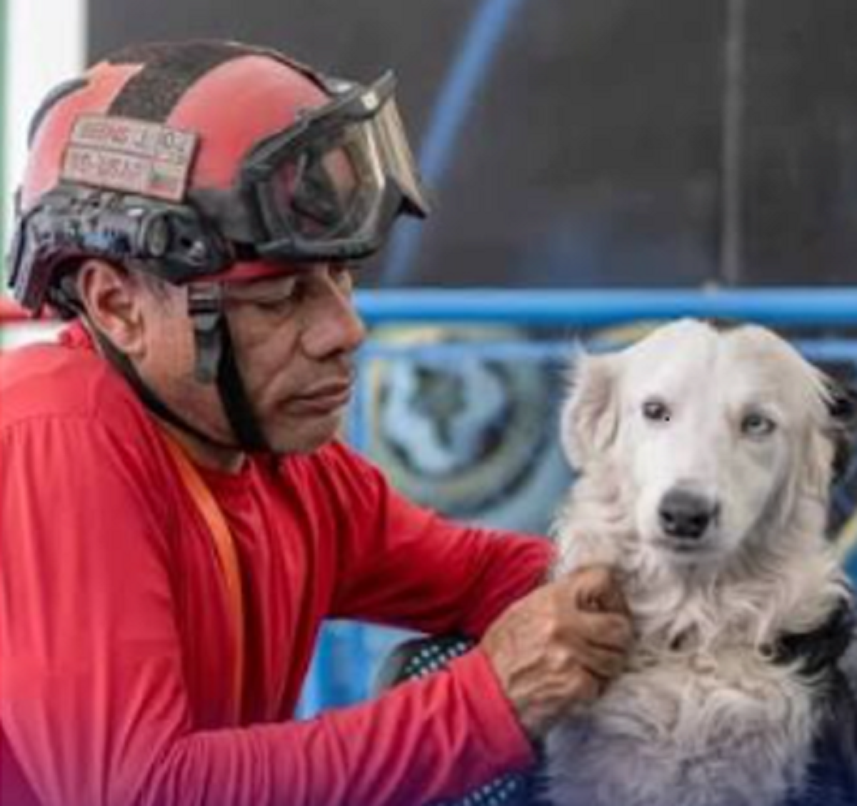 Perro rescatista Tsunami y su entrenador pierden hogar tras terremotos en Venezuela