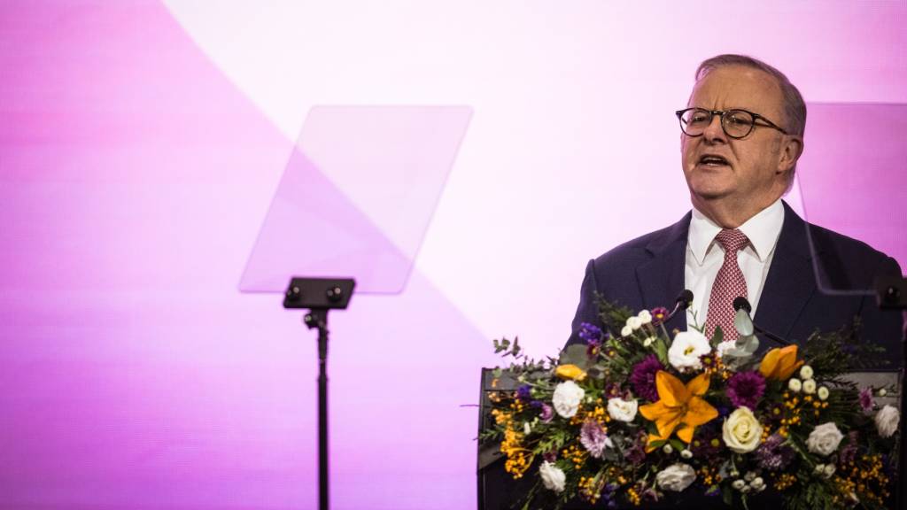 Albanese unveils AI Office and national framework for AI governance