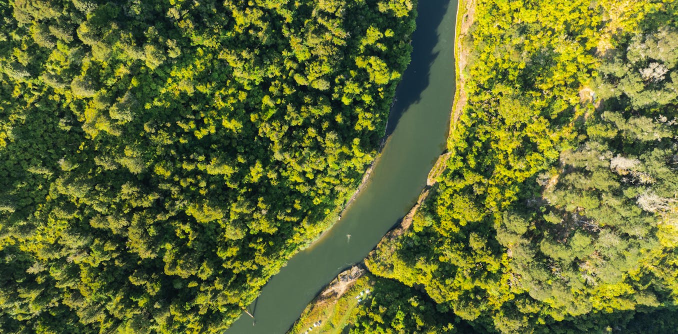 New Zealand's conservation law reforms face backlash over potential environmental and Māori rights impacts