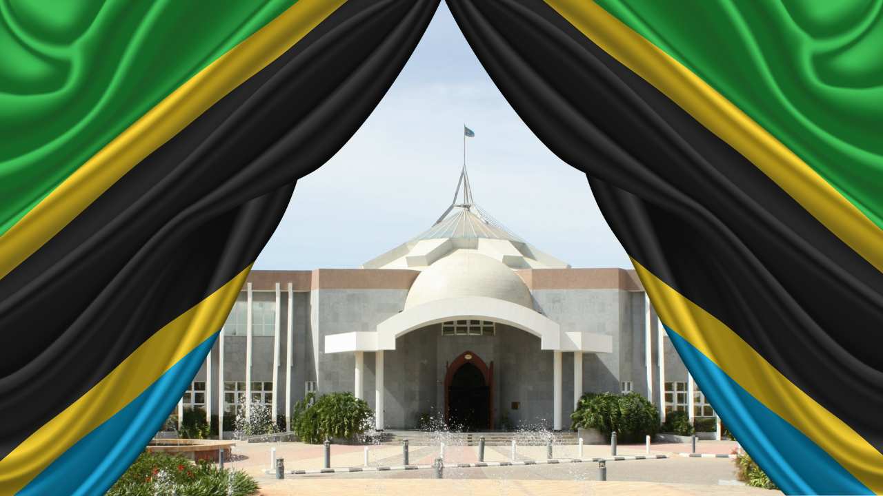 Why Strong Institutions Matter More Than Individual Leaders for Tanzania's Democratic Future
