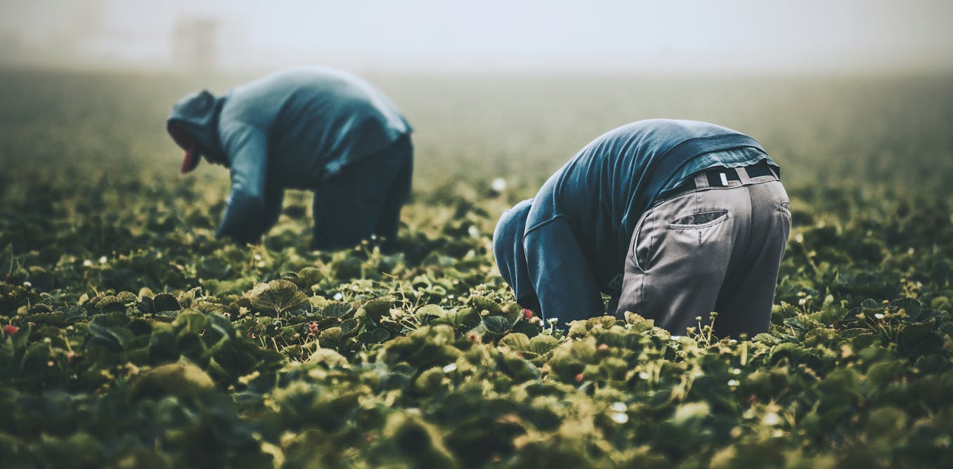 New laws mandate Australian companies to prevent modern slavery with penalties