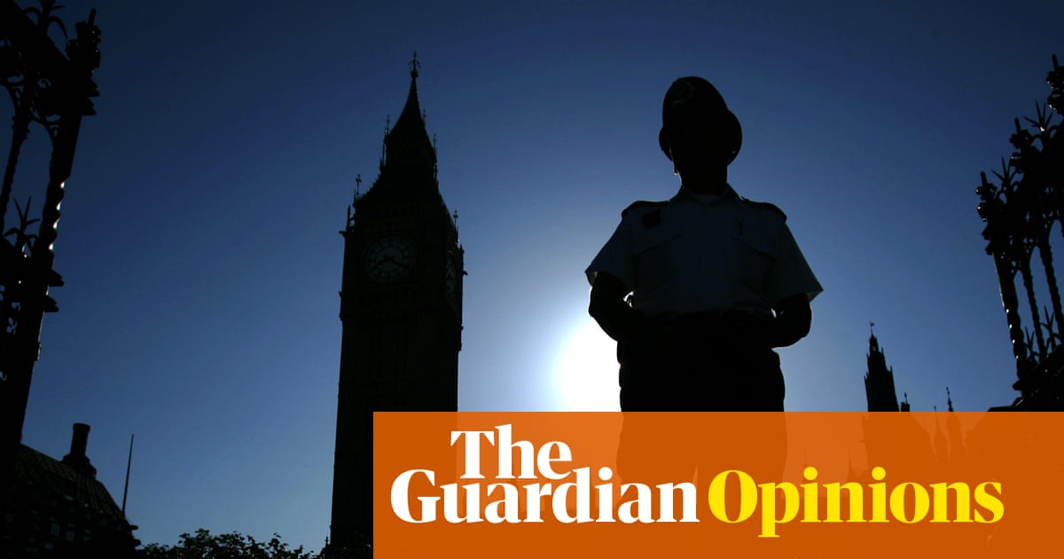 Political violence and the erosion of democratic norms after Ann Widdecombe's death