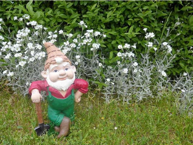 Common Elements That Make a Yard Look Tacky