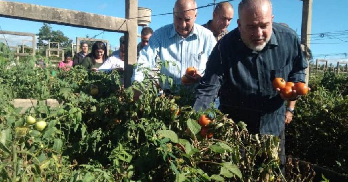 Gobierno Urges Agricultural Development in Arroyo Naranjo to Address Food Crisis