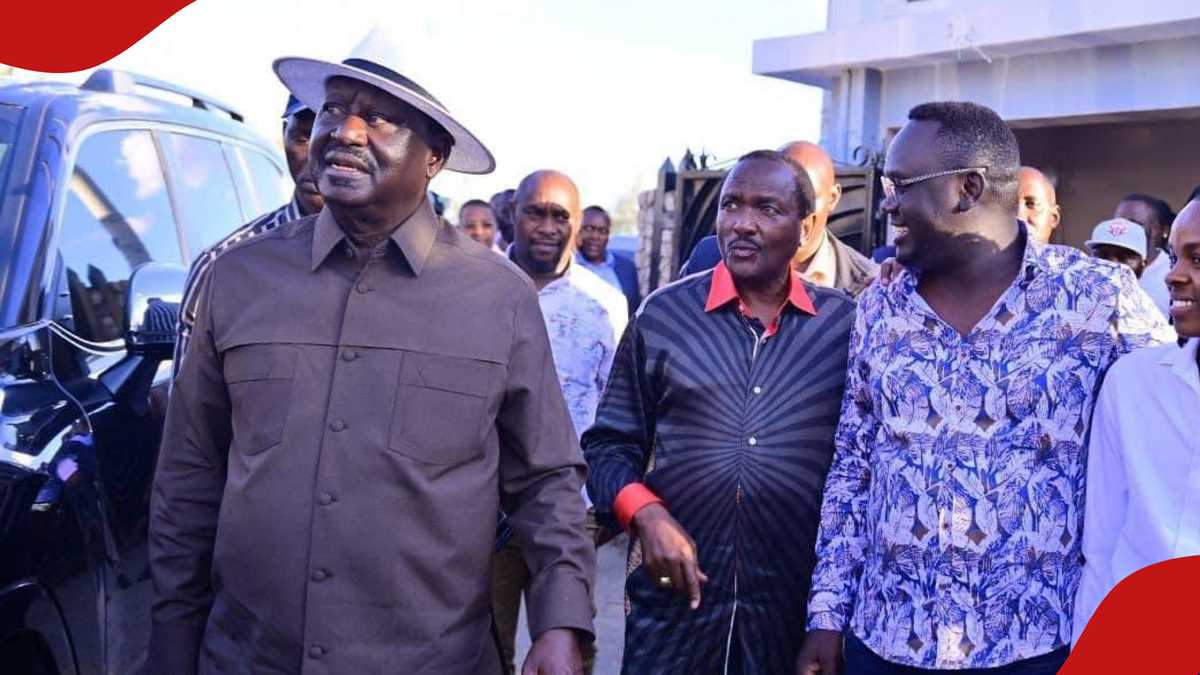 Kisumu Senate Race Heats Up with Nyandiare Leading Polls