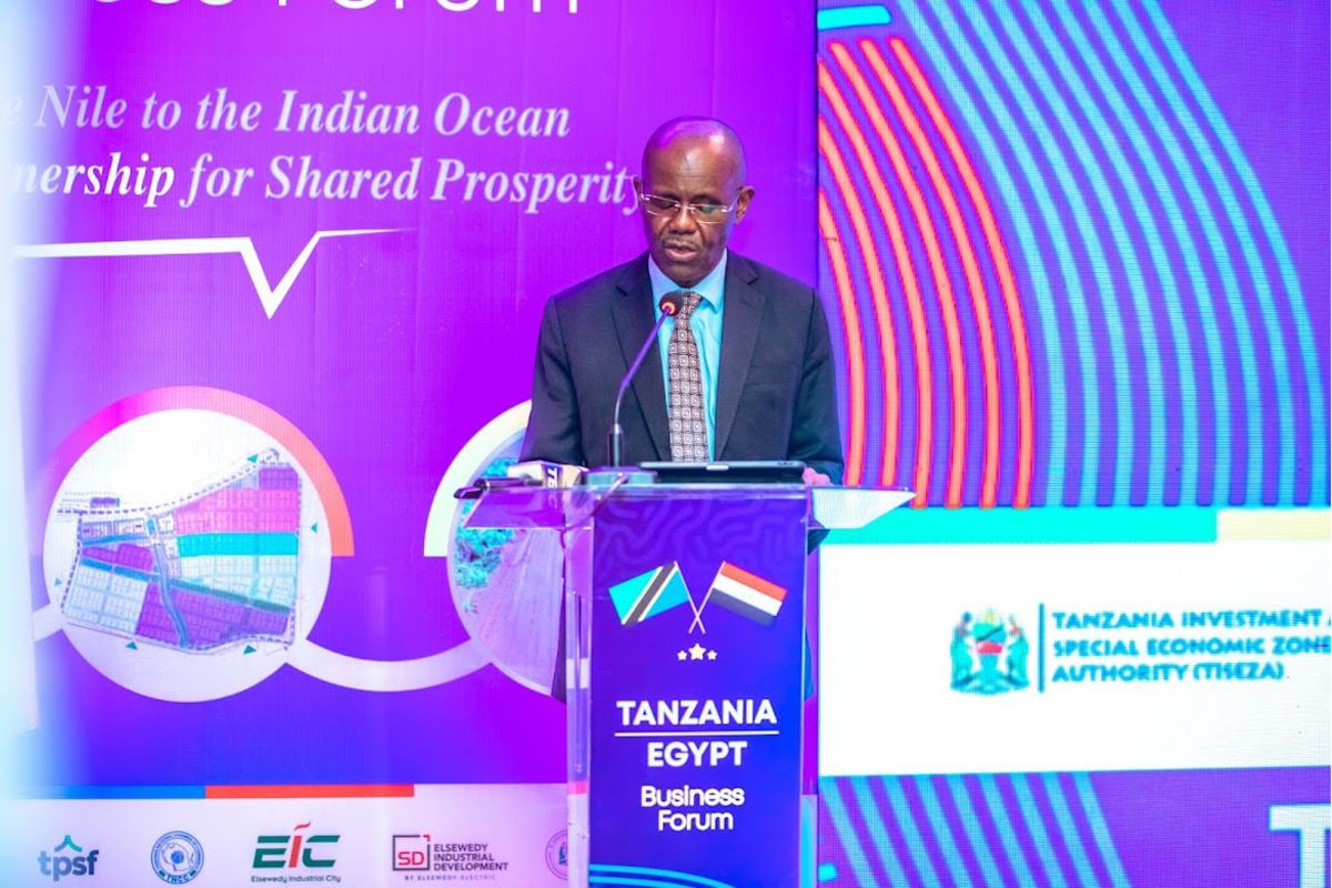 Tanzania and Egypt finalize plans for Dar-Cairo cargo transport hub