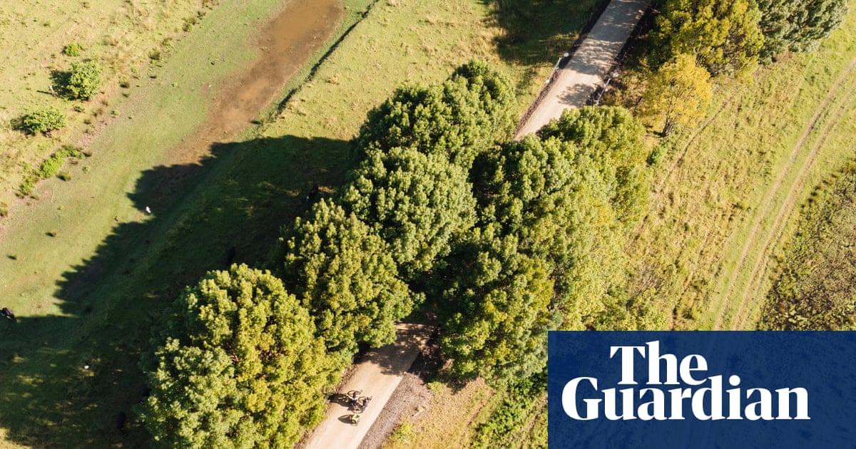 Federal government rejects $42m funding for Northern Rivers rail trail