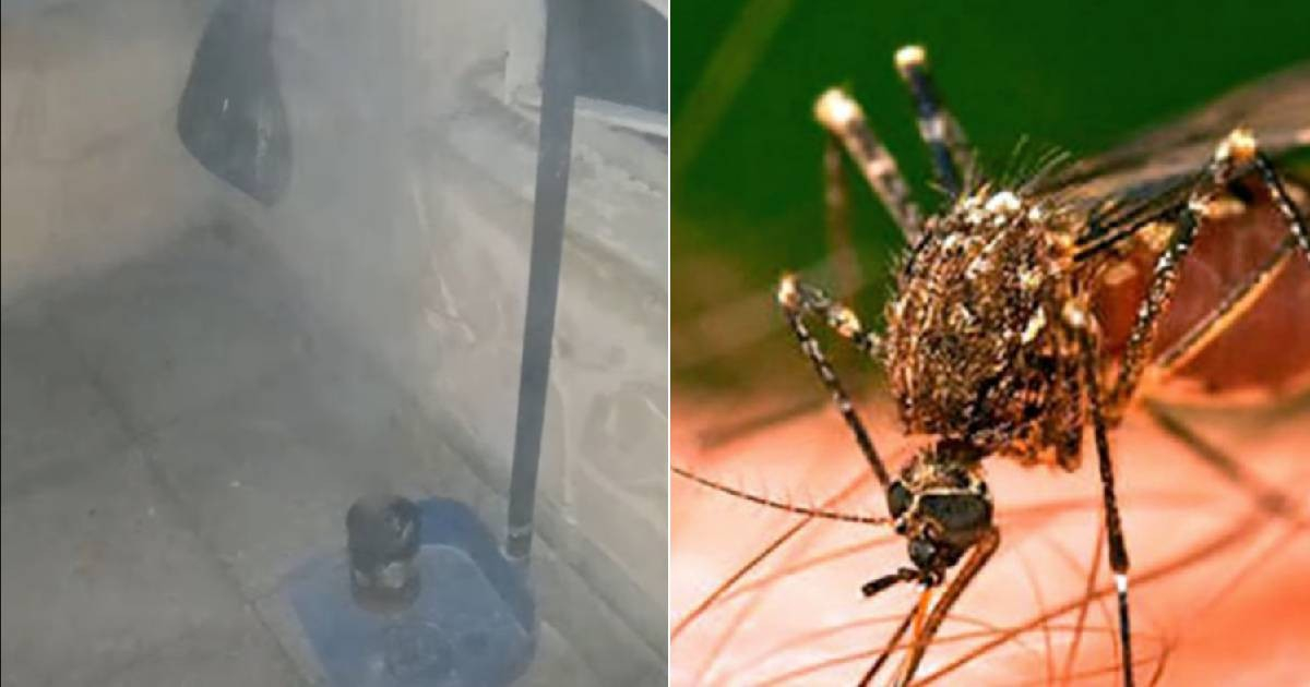 Cubana recurre a un método casero para ahuyentar mosquitos ante la falta de fumigación y los apagones