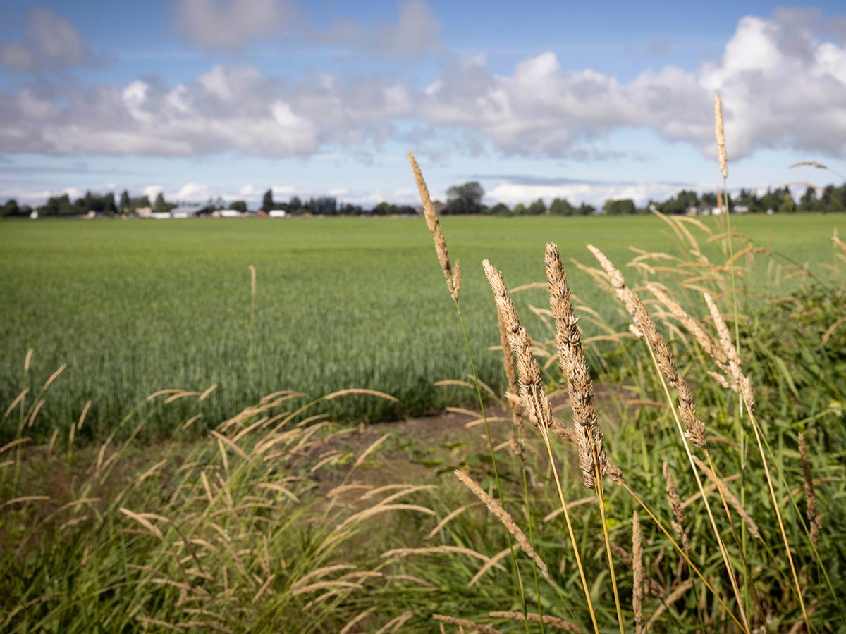 B.C. Conservatives raise concerns over southern pipeline route's impact on farmland