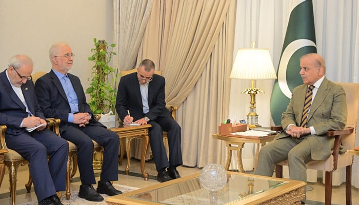 Pakistan PM Shehbaz and Iran's Momeni Discuss Regional De-escalation