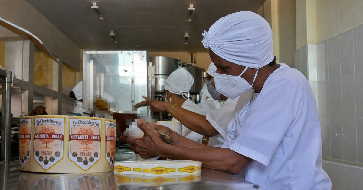 Una alianza entre una mipyme y la industria estatal reanima la producción de Guayabita del Pinar