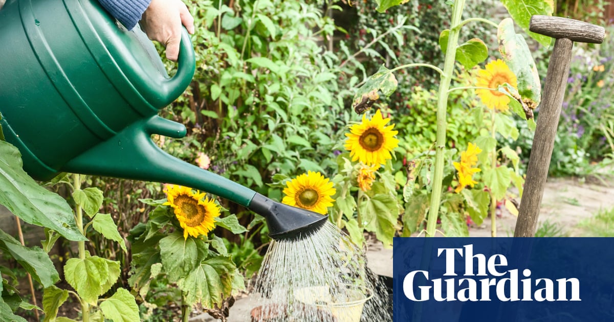 Hosepipe Bans and Drought Concerns in Southern England